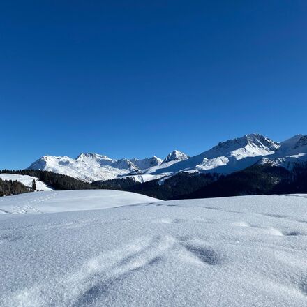 Winter Prätschalp | © Tanja Hengartner