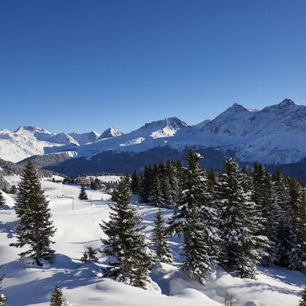 Winterwandern in Arosa | © Arosa Tourismus / Nina Hardegger-Mattli