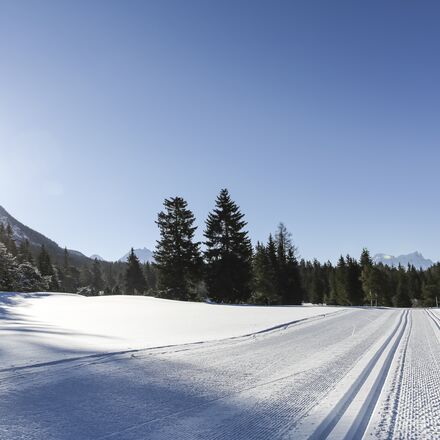 langlauf-frisch-gespurte-loipen-lenzerheide.jpg